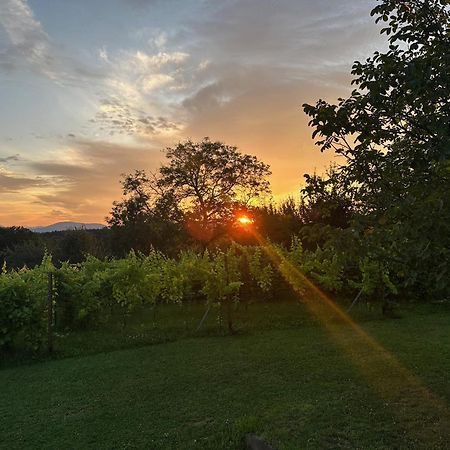 Lind Fruchtreich Apartment Sebersdorf Bagian luar foto